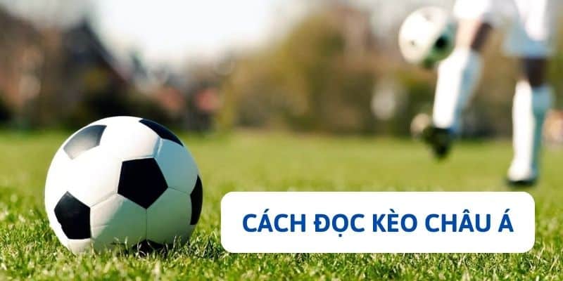 Cách đọc kèo Châu Á chuẩn nhất theo chia sẻ của WW88 